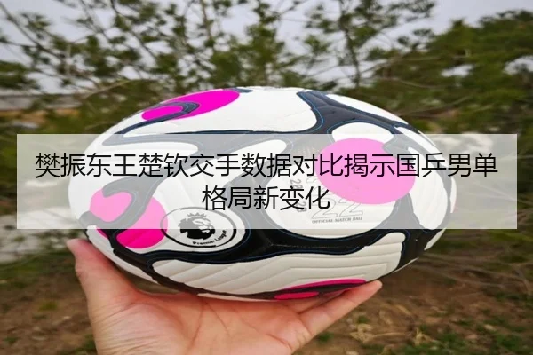 樊振东王楚钦交手数据对比揭示国乒男单格局新变化（yibeisports）